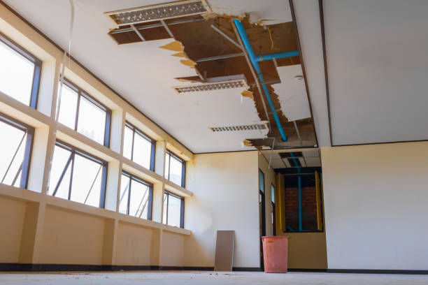 Carpet water damage restoration in West Little River, FL