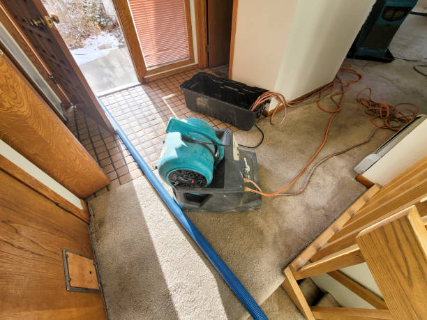 Best 24-hour water damage restoration  in West Little River, FL