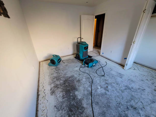 Best Commercial water damage restoration  in West Little River, FL