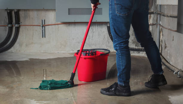 Best Flooded house restoration  in West Little River, FL