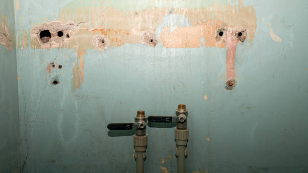 Trusted West Little River, FL Water damage restoration Experts