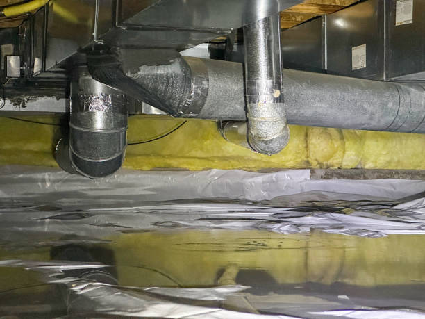 Best 24/7 water damage repair  in West Little River, FL