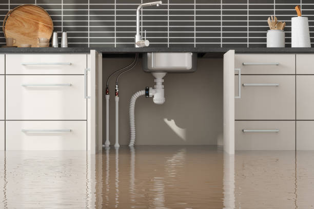 Best Residential water damage restoration  in West Little River, FL