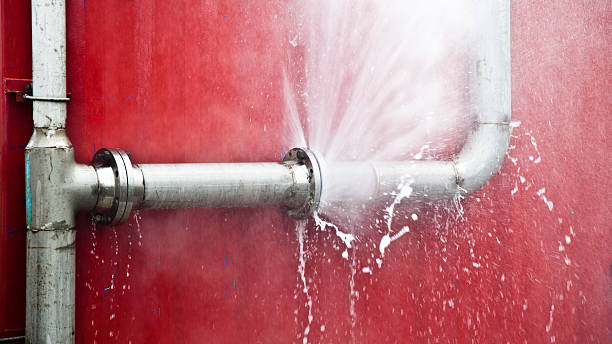 Best Flood restoration services  in West Little River, FL